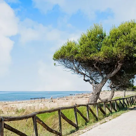 Comfortable Near The Promenade And Shops Appartement